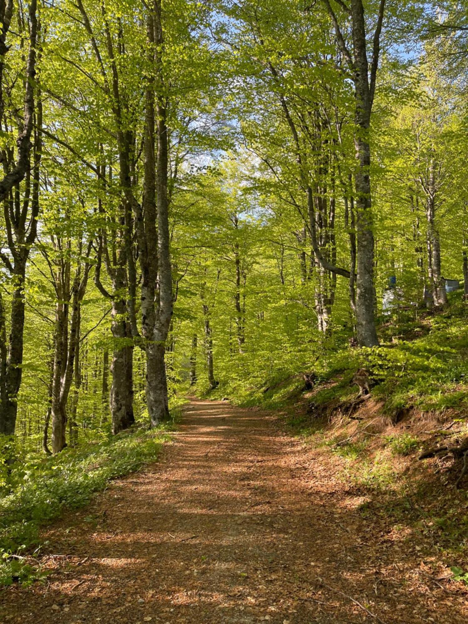 Bed and Breakfast Honey Valley Bjelašnica Zewnętrze zdjęcie
